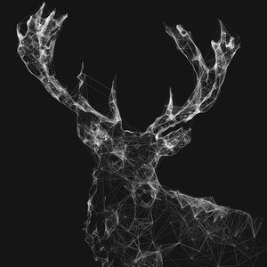 Meet your Posher, Noah